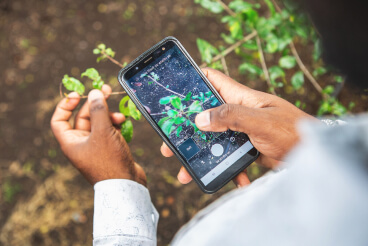 Plantix app in use