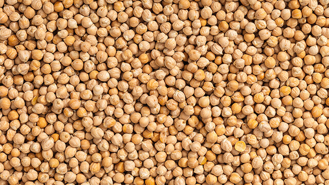Chickpea & Gram
