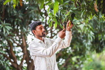 Agriculteur contrôlant ses cultures