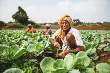 Agriculteur dans un champ