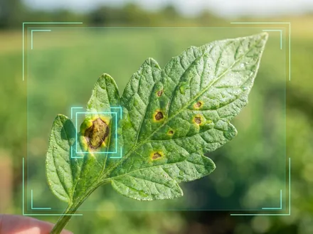 API Toolkit — plant-disease detection API
