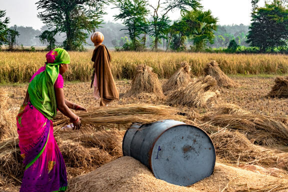 Learning methods to make wheat cultivation profitable