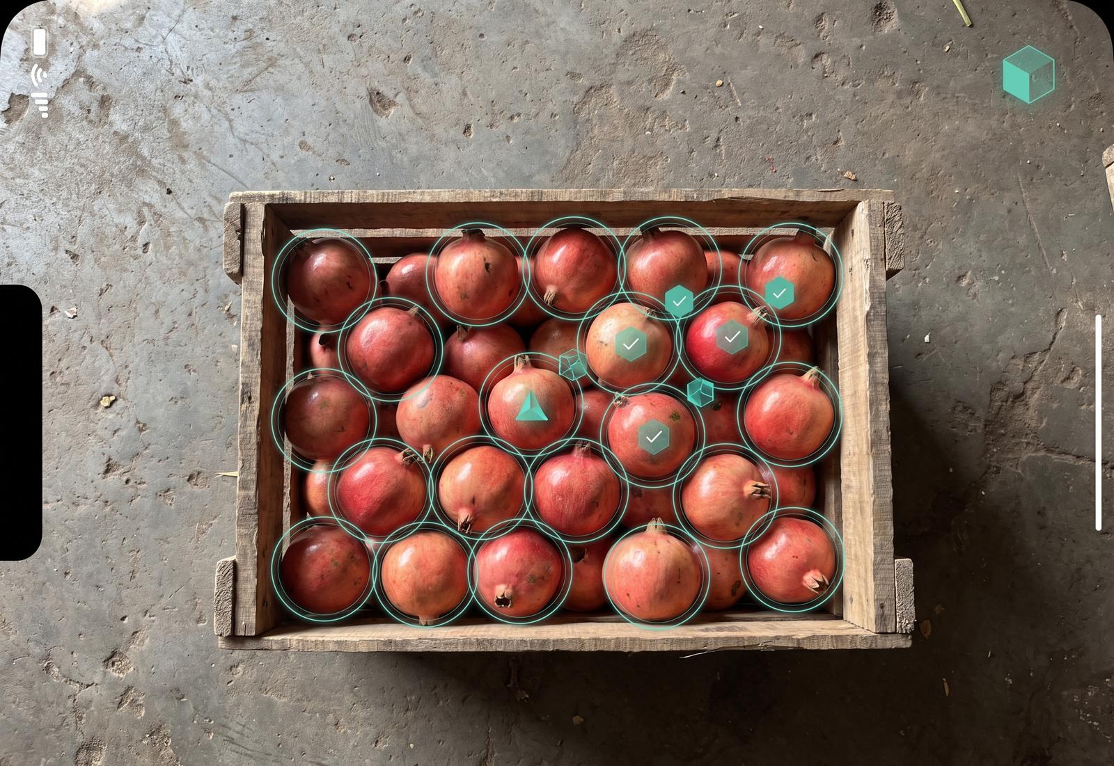 A phone camera view of a crate of pomegranates with count and grade overlays